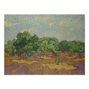 Vincent van Gogh - Olive Trees Photo Print