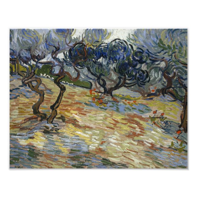 Vincent van Gogh - Olive Trees Photo Print (Front)