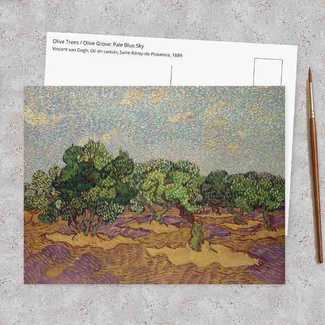 Vincent van Gogh - Olive Trees Postcard (Creator Uploaded)