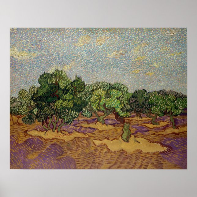 Vincent van Gogh - Olive Trees Poster (Front)