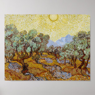 Vincent van Gogh - Olive Trees Poster