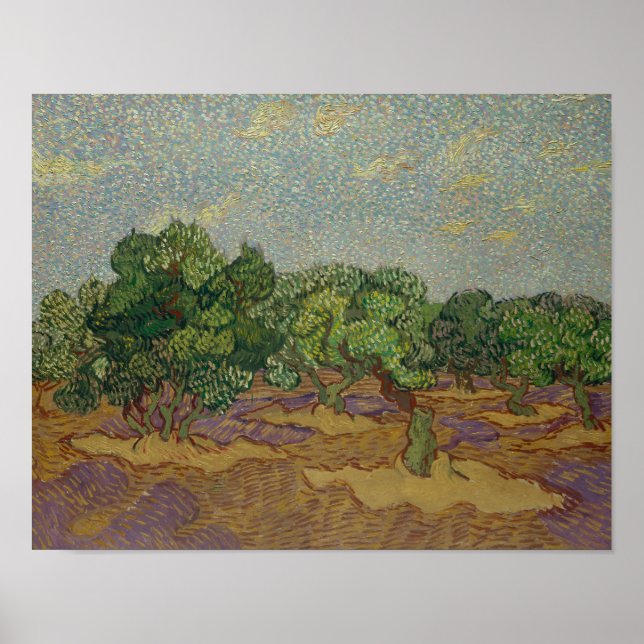 Vincent van Gogh - Olive Trees Poster (Front)