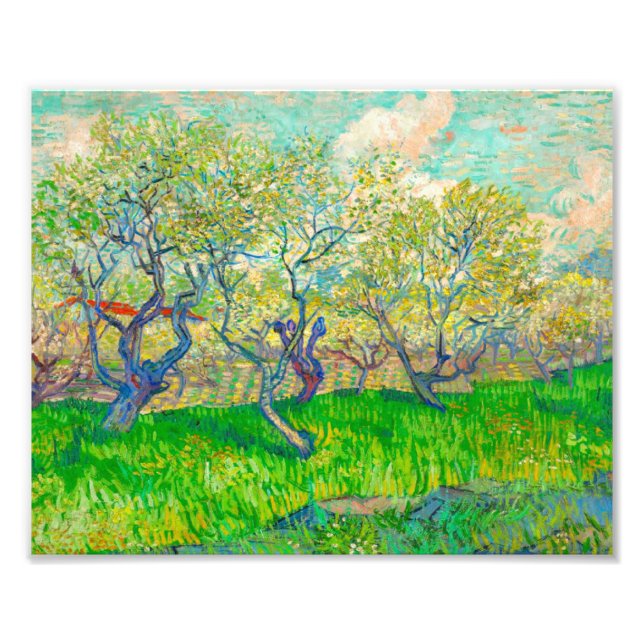 Vincent van Gogh Orchard in Blossom Photo Print (Front)