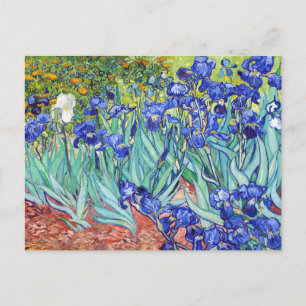 Vincent Van Gogh painting Irises Invitation Postcard