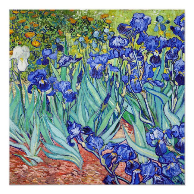 Vincent Van Gogh painting Irises Poster (Front)