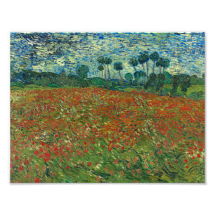 Vincent van Gogh - Poppy Field Photo Print