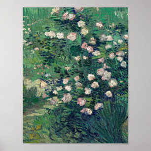 Vincent Van Gogh - Rosebush in Blossom Poster