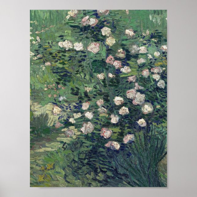 Vincent Van Gogh - Rosebush in Blossom Poster (Front)