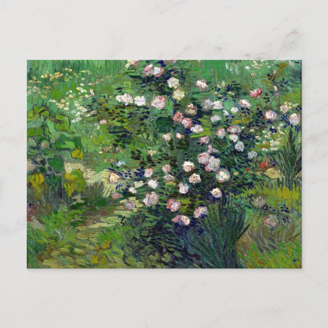 Vincent van Gogh Roses Postcard (Front)