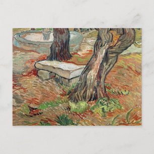 Vincent van Gogh   The Bench at Saint-Remy Postcard