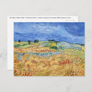 Vincent van Gogh - The fields / Plain at Auvers Postcard