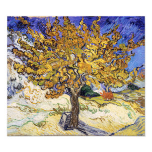 Vincent van Gogh - The Mulberry Tree Photo Print