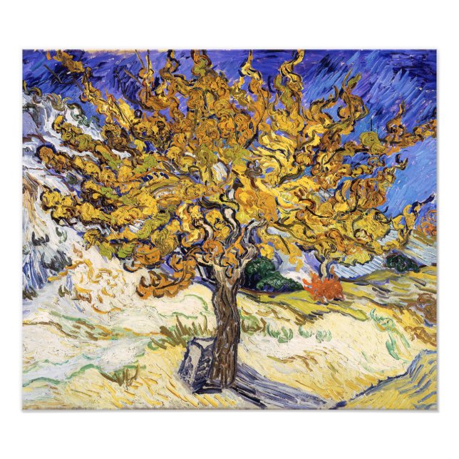 Vincent van Gogh - The Mulberry Tree Photo Print (Front)