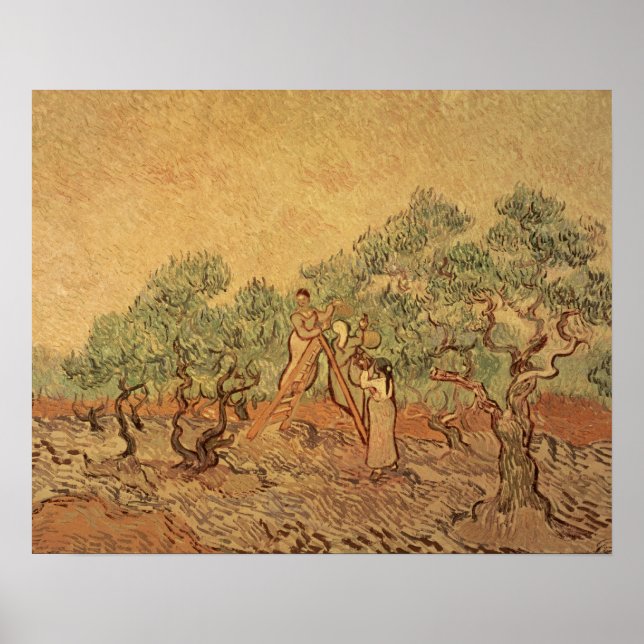 Vincent van Gogh | The Olive Grove, 1889 Poster (Front)