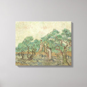Vincent Van Gogh The Olive Orchard Canvas Print