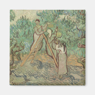 Vincent Van Gogh The Olive Orchard Magnet