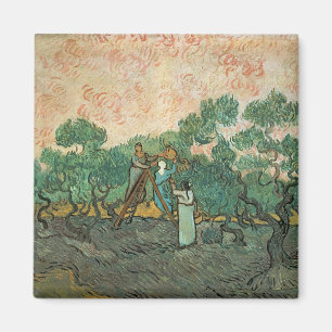 Vincent van Gogh   The Olive Pickers, Saint-Remy Magnet