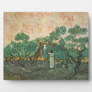 Vincent van Gogh The Olive Pickers, Saint-Remy Plaque