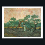 Vincent van Gogh | The Olive Pickers, Saint-Remy Poster<br><div class="desc">Image:83715  The Olive Pickers,  Saint-Remy,  1889 (oil on canvas). Gogh,  Vincent van (1853-90). Private Collection,  Peter Willi.  Art,  Fine Art.</div>