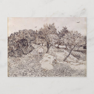Vincent van Gogh   The Olive Trees Postcard