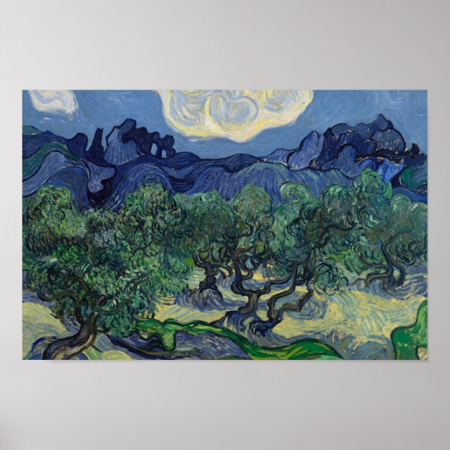 Vincent van Gogh - The Olive Trees Poster (Front)