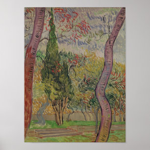 Vincent van Gogh The Park at the Saint-Paul Poster