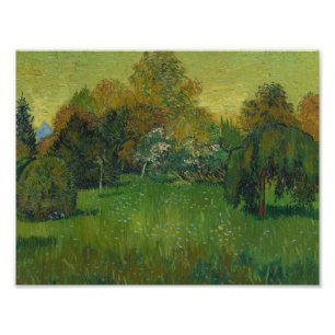 Vincent van Gogh - The Poet's Garden Photo Print