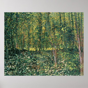 Vincent van Gogh Trees and Undergrowth, 1887 Poster