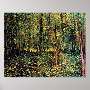 Vincent Van Gogh - Trees And Undergrowth Fine Art Poster