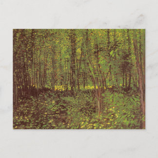 Vincent van Gogh - Trees and Undergrowth Postcard