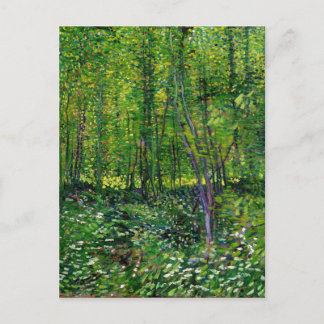 Vincent Van Gogh Trees And Undergrowth Postcard
