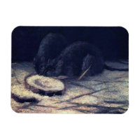 Vincent Van Gogh - Two Rats - Rat Lover Fine Art