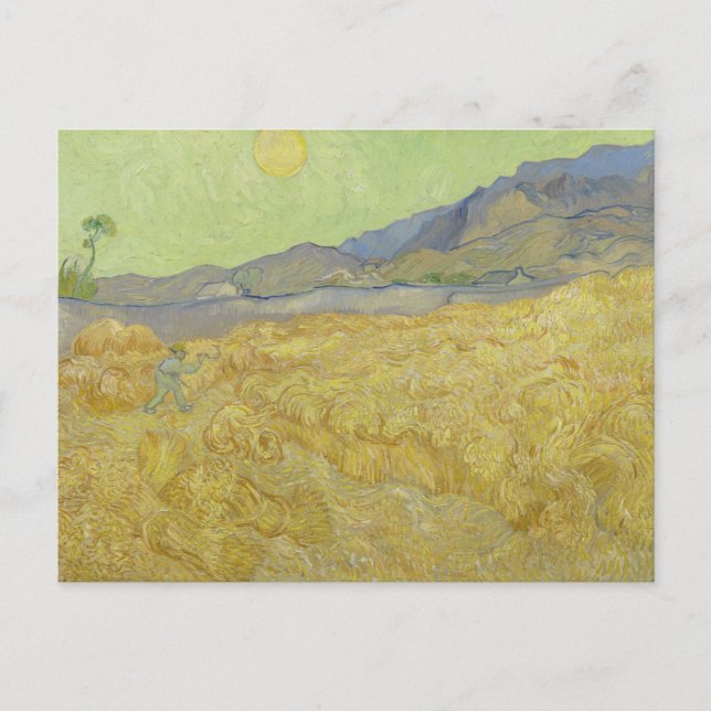 Vincent Van Gogh, Wheatfield With A Reaper Postcard (Front)
