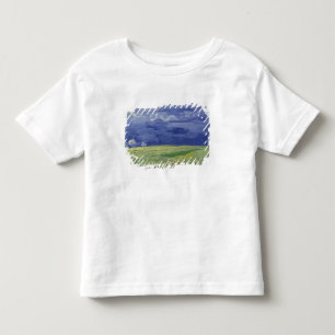 Vincent van Gogh   Wheatfields under Thundercloud Toddler T-Shirt
