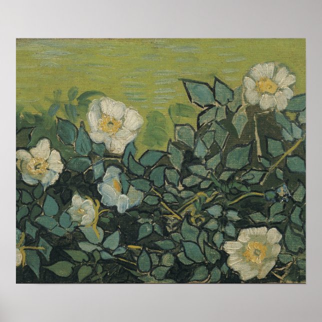 Vincent Van Gogh - Wild roses  April ,May Poster (Front)