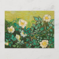 Vincent Van Gogh Wild Roses Fine Art