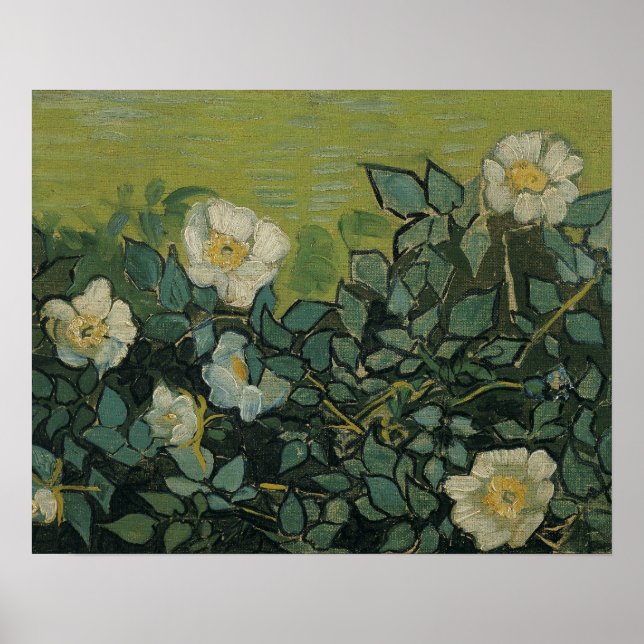 Vincent van Gogh - Wild Roses Poster (Front)