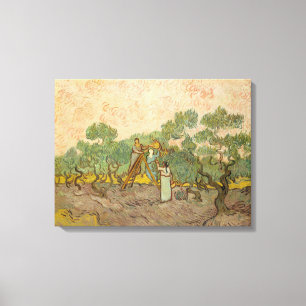 Vincent van Gogh - Women Picking Olives Canvas Print