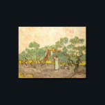 Vincent van Gogh - Women Picking Olives Canvas Print<br><div class="desc">Women Picking Olives / The Olive Orchard - Vincent van Gogh,  1889</div>