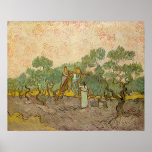 Vincent van Gogh - Women Picking Olives Poster