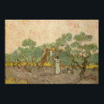 Vincent van Gogh - Women Picking Olives Poster<br><div class="desc">Women Picking Olives by Vincent van Gogh,  1889. Oil on canvas.</div>