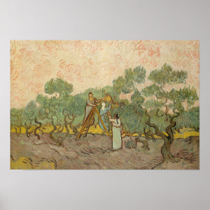 Vincent van Gogh - Women Picking Olives Poster