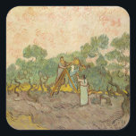 Vincent van Gogh - Women Picking Olives Square Sticker<br><div class="desc">Women Picking Olives / The Olive Orchard - Vincent van Gogh,  1889</div>