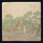 Vincent van Gogh - Women Picking Olives Stone Coaster<br><div class="desc">Women Picking Olives / The Olive Orchard - Vincent van Gogh,  1889</div>