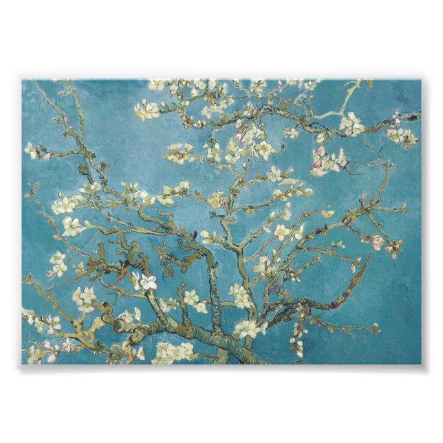 Vincent van Gogh's Almond blossom (1890) Photo Print (Front)