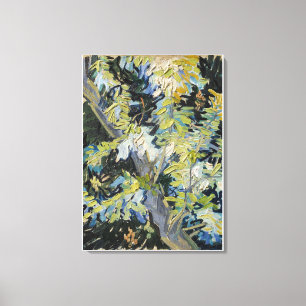 Vincent van Gogh's Blossoming Acacia Branches (189 Canvas Print