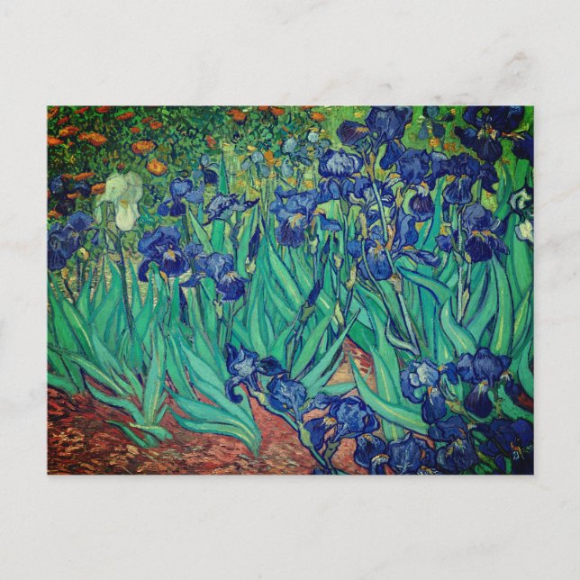 Vincent van Gogh's Irises: Postcard (Front)