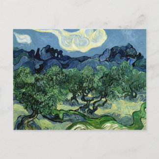 Vincent van Gogh's Olive Trees (1889) Postcard