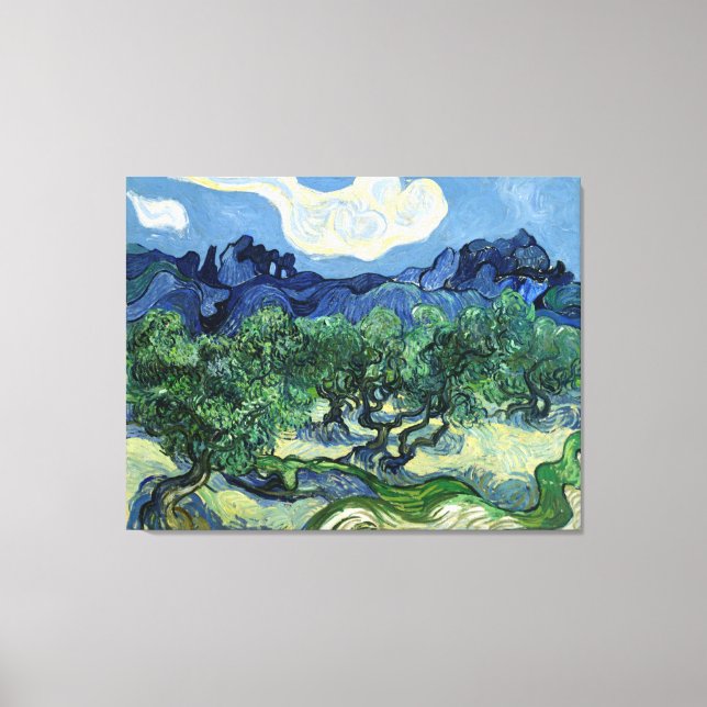 Vincent van Gogh's Olive Trees Canvas Print (Front)