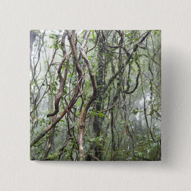 vine and branches twisted in rainforest 15 cm square badge (Front)